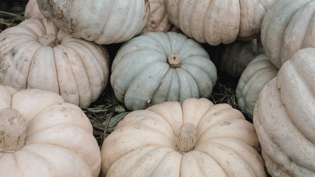 How Our Family Chooses to Be a Light on Halloween&nbsp;Night